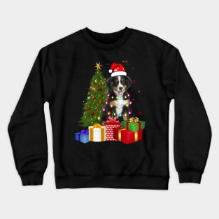 Bernese Mountain Christmas Tree Santa Hat Funny Xmas Gift Dog T-Shirt Crewneck Sweatshirt